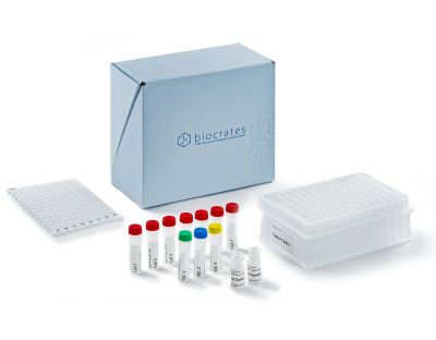 AbsoluteIDQ® Bile Acids kit | UHPLC | Agilent 6495C | Half kit (40 ...